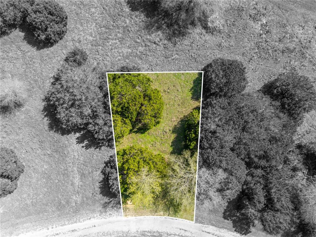 11082 Briarwood Drive Property Photo 17