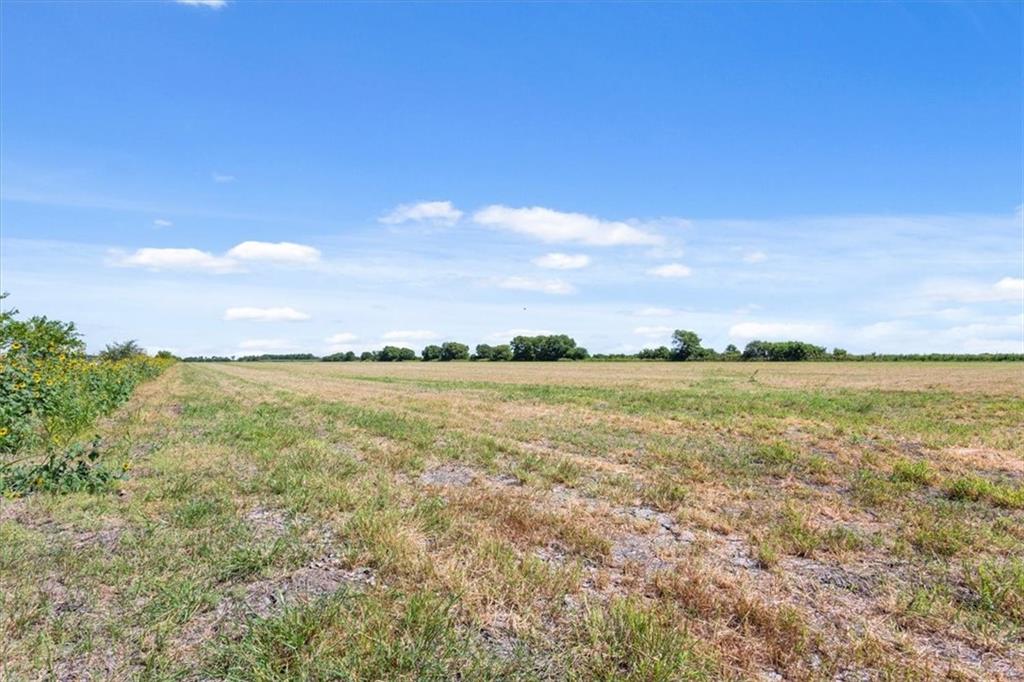 Tbd Fm 1240 Property Photo 9