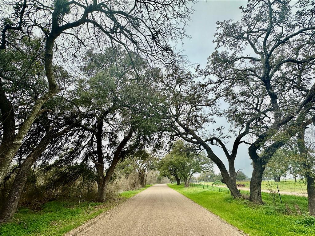 Sunset Ranch Tract 6 & 7 Cr 356 Road Property Photo 7