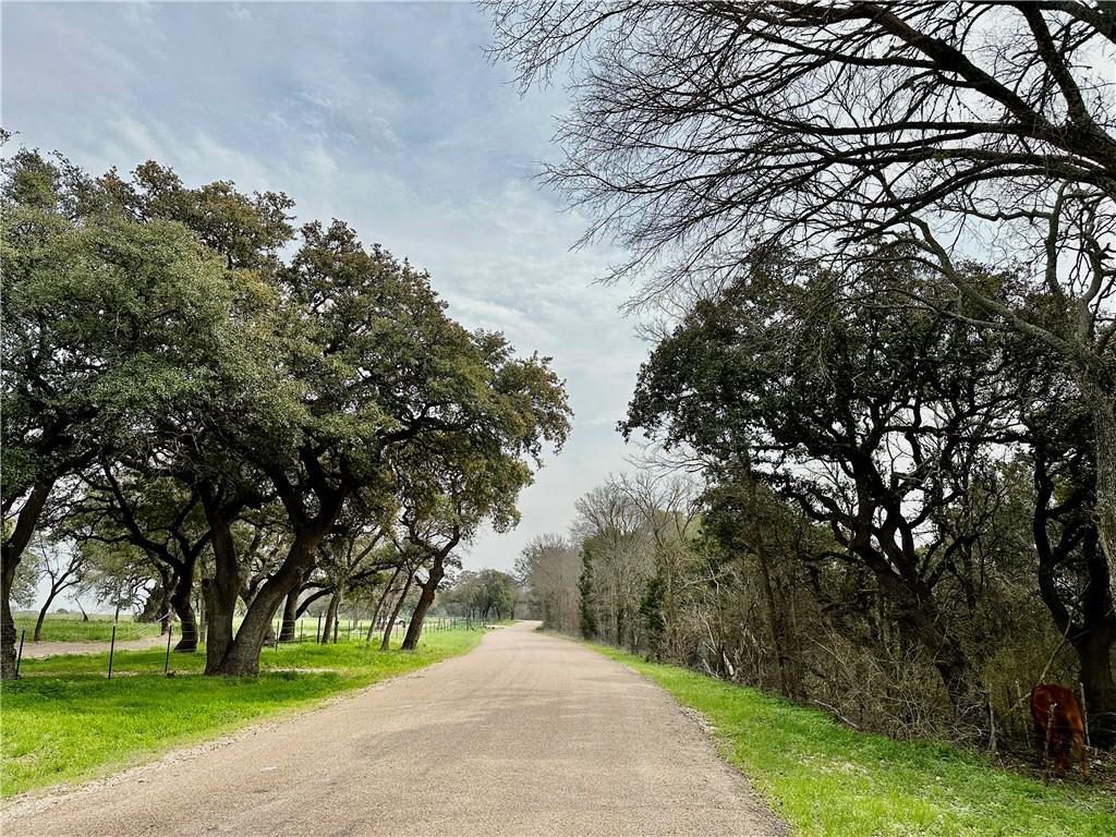 Sunset Ranch Tract 6 & 7 Cr 356 Road Property Photo 8