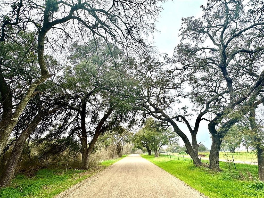 Sunset Ranch Tract 6 & 7 Cr 356 Road Property Photo 13