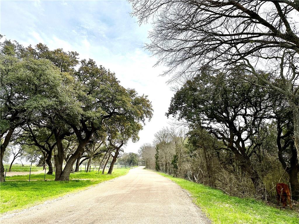 Sunset Ranch Tract 6 & 7 Cr 356 Road Property Photo 14