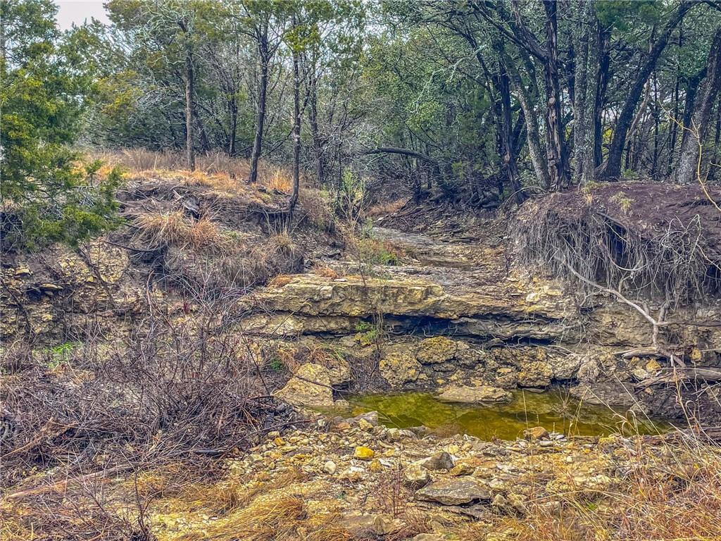 Unk Cr 421 Road Property Photo 4