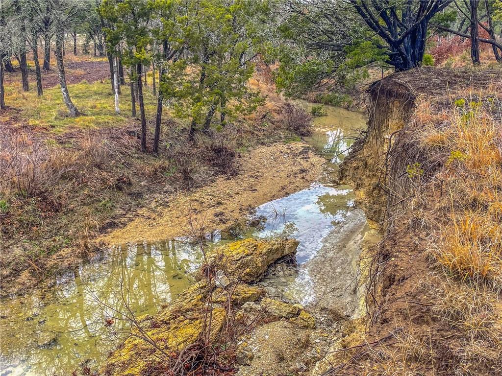 Unk Cr 421 Road Property Photo 11