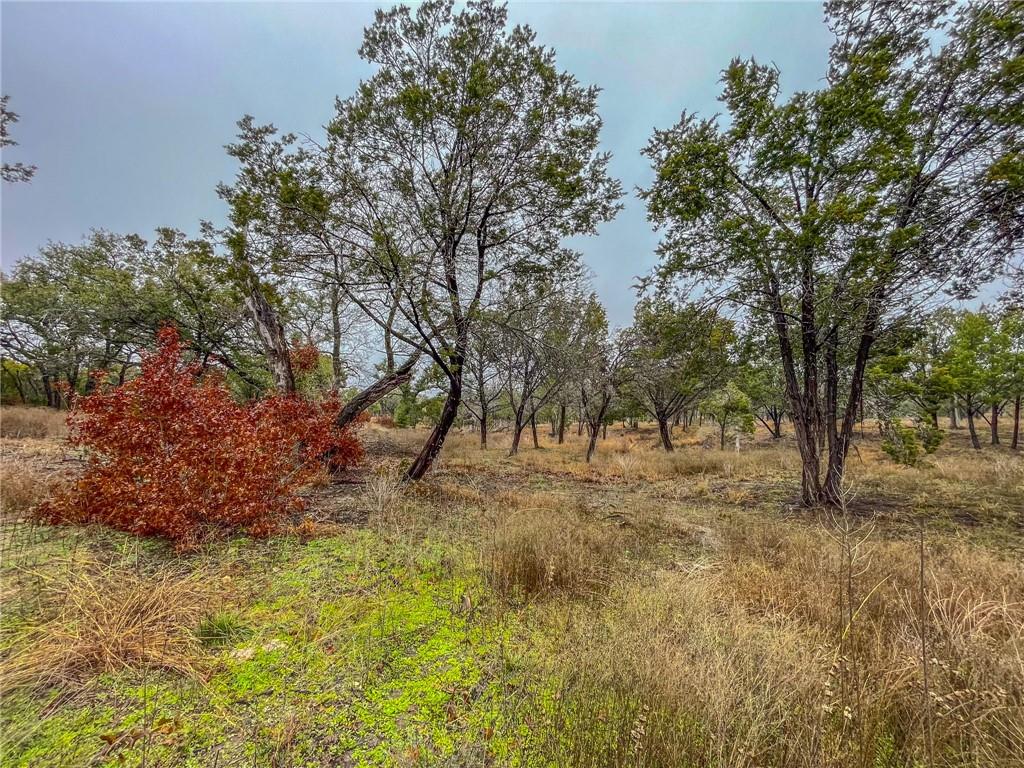Unk Cr 421 Road Property Photo 13