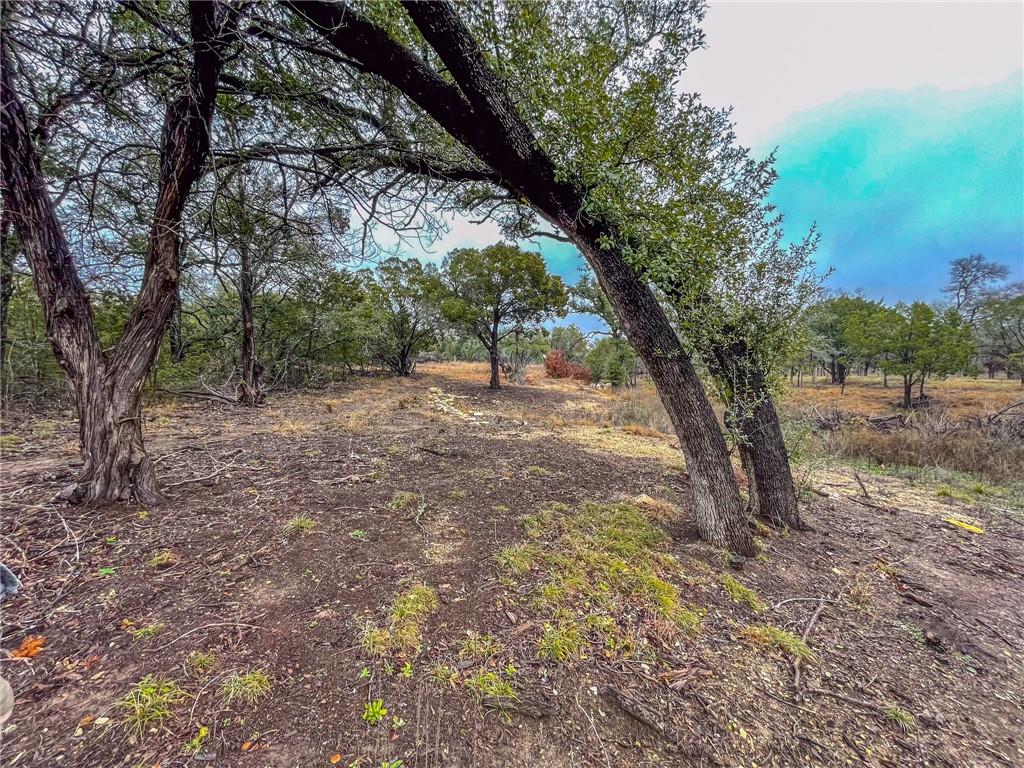 Unk Cr 421 Road Property Photo 14