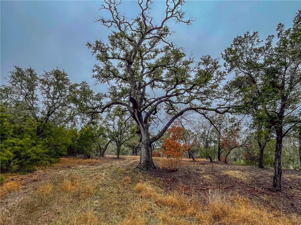 Unk Cr 421 Road Property Photo 15