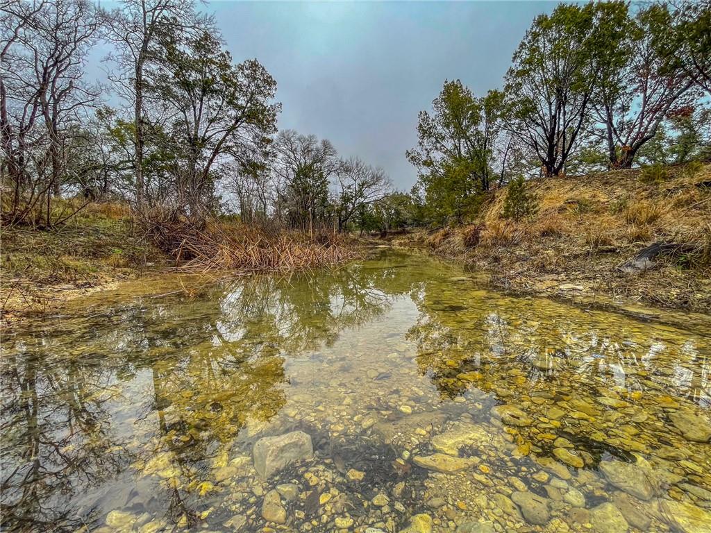 Unk Cr 421 Road Property Photo 17