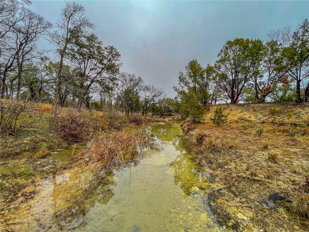 Unk Cr 421 Road Property Photo 18