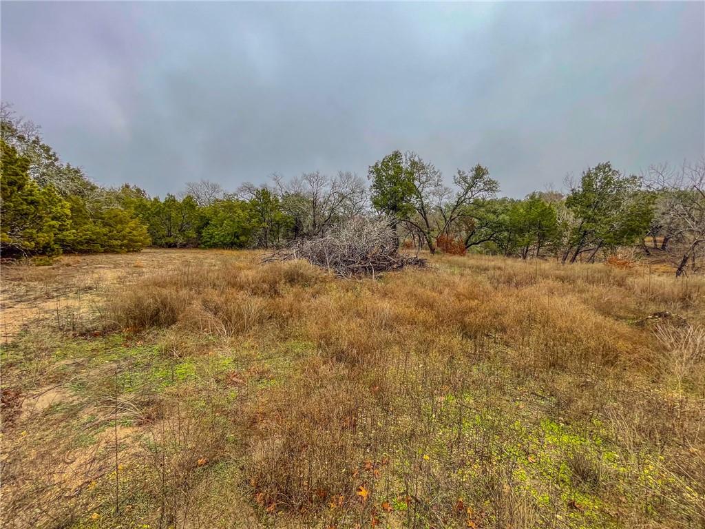 Unk Cr 421 Road Property Photo 19