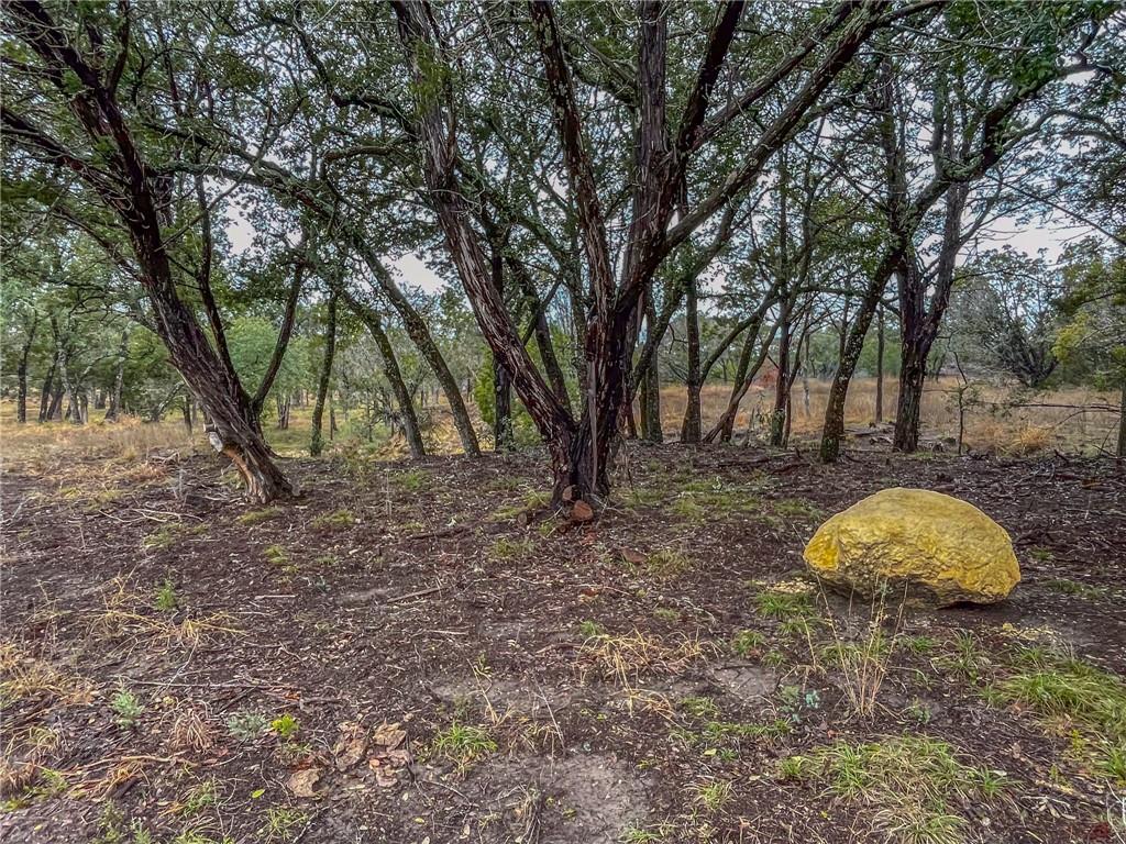 Unk Cr 421 Road Property Photo 23