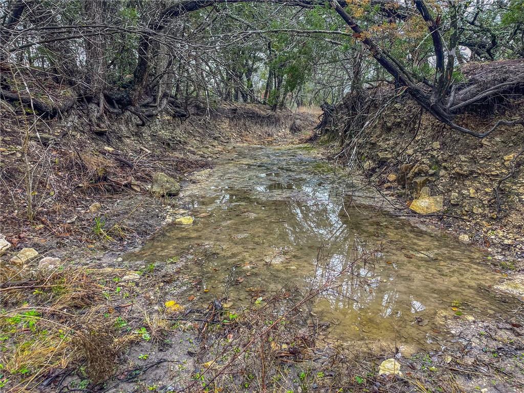 Unk Cr 421 Road Property Photo 24