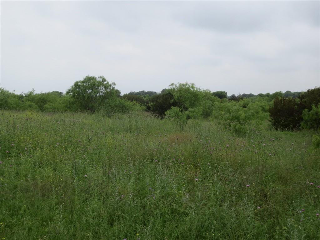 Tbd Speegle Road Property Photo 2