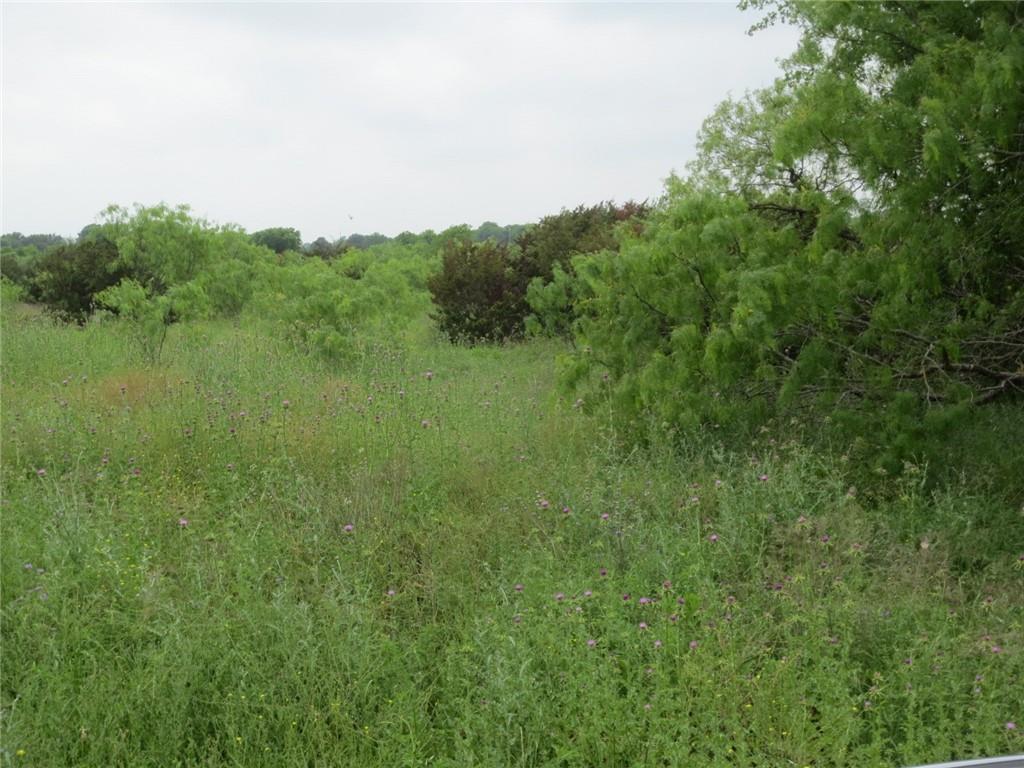 Tbd Speegle Road Property Photo 3