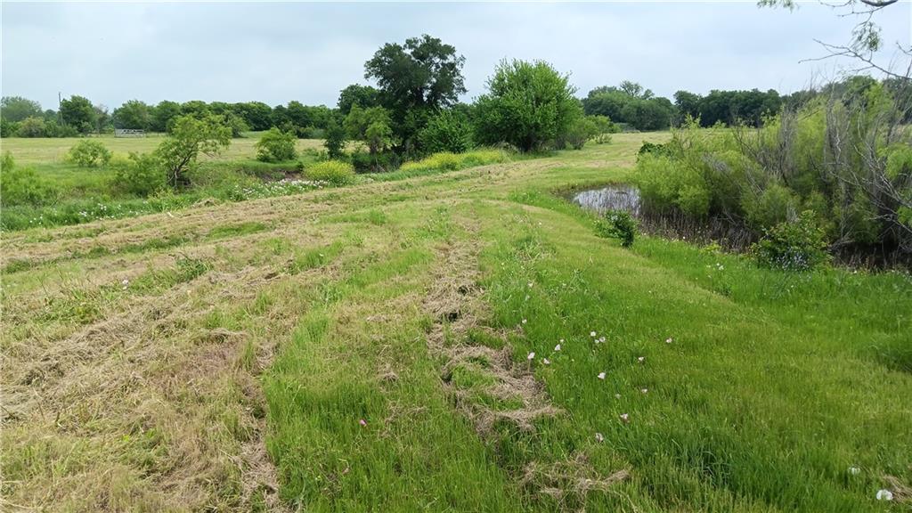 Tbd Hwy 7 Property Photo 4