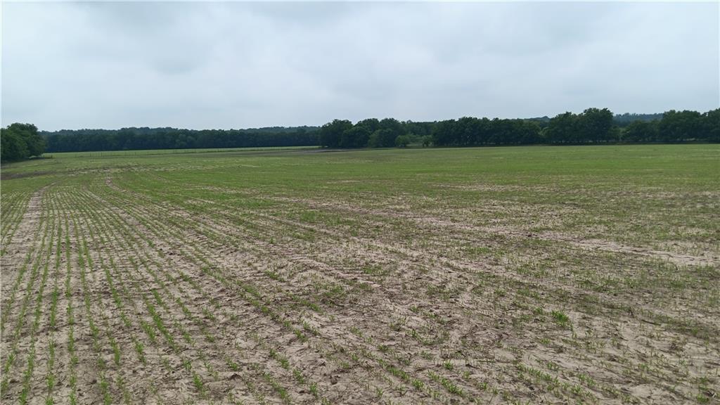 Tbd Cr 494n Property Photo 5