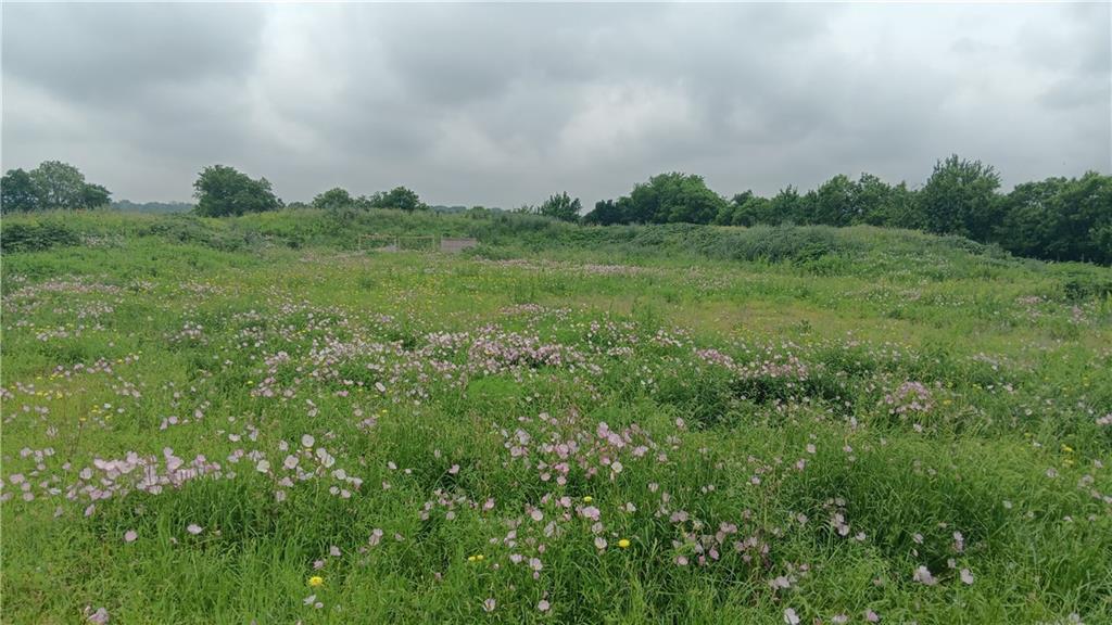 Tbd Cr 494n Property Photo 3