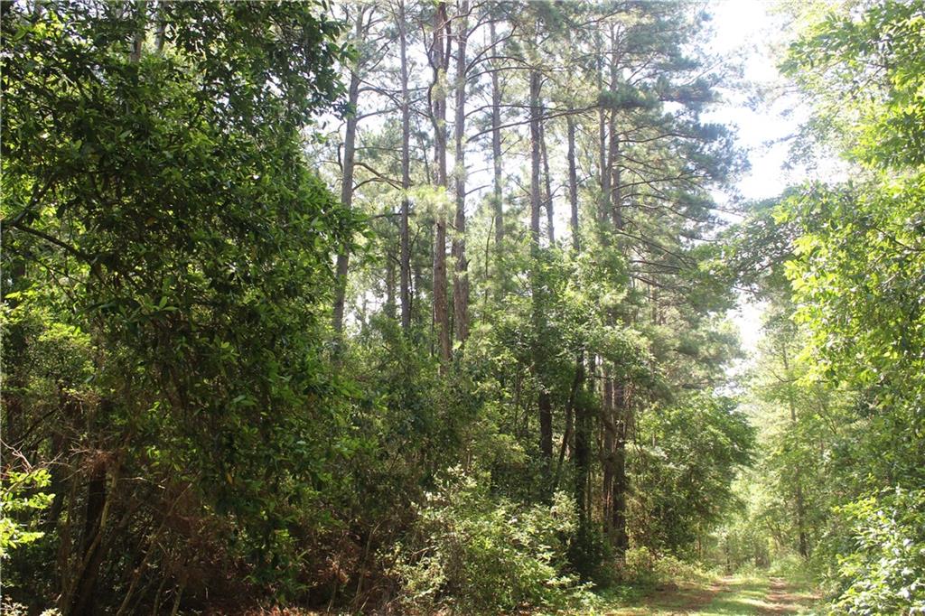 0 Rolling Hills Road Property Photo