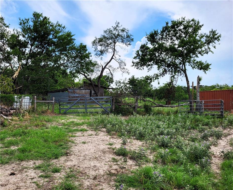 46 Acres Fm 339 Property Photo 3