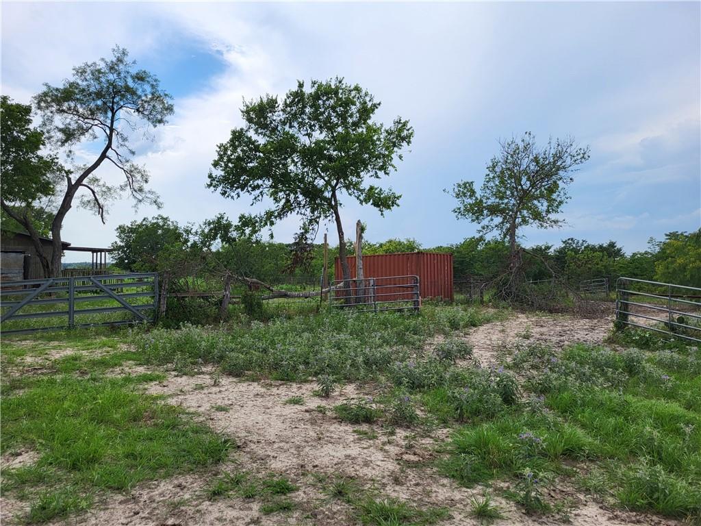 46 Acres Fm 339 Property Photo 5