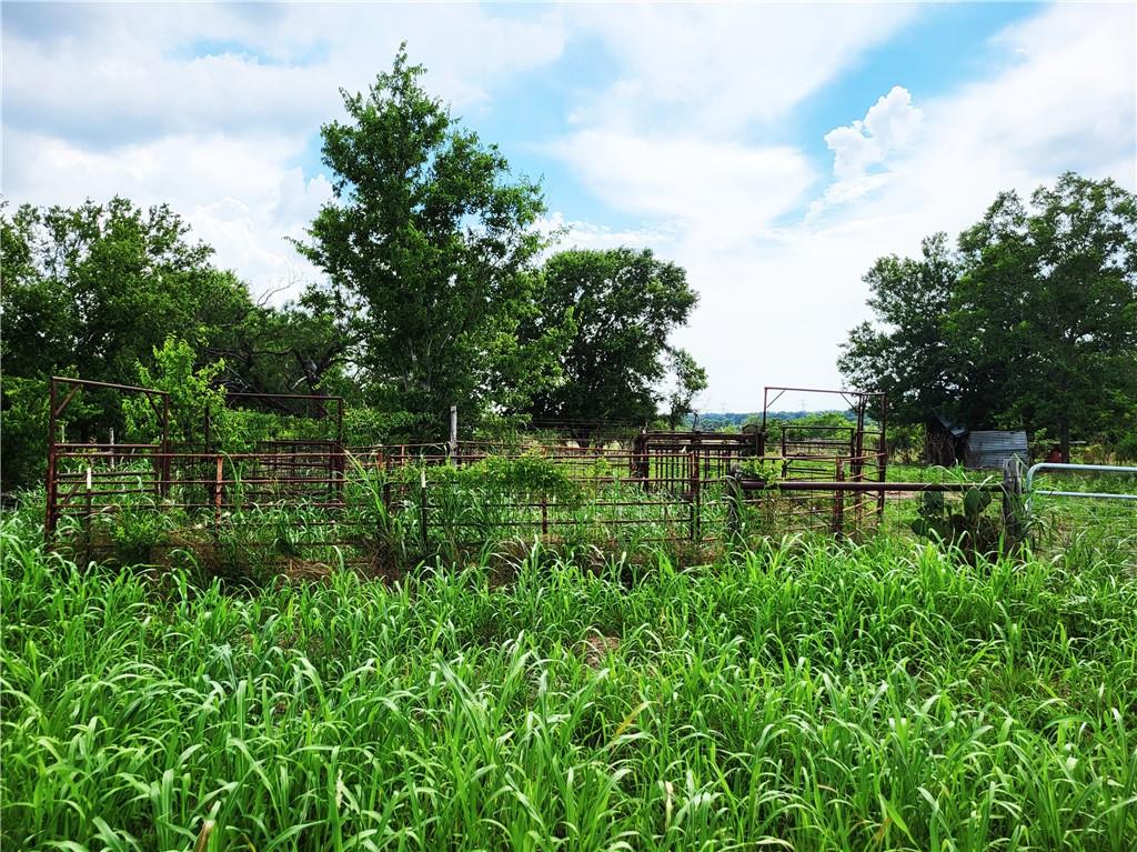 46 Acres Fm 339 Property Photo 12