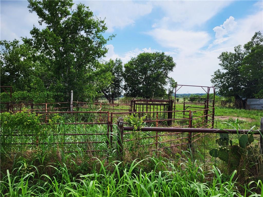 46 Acres Fm 339 Property Photo 13