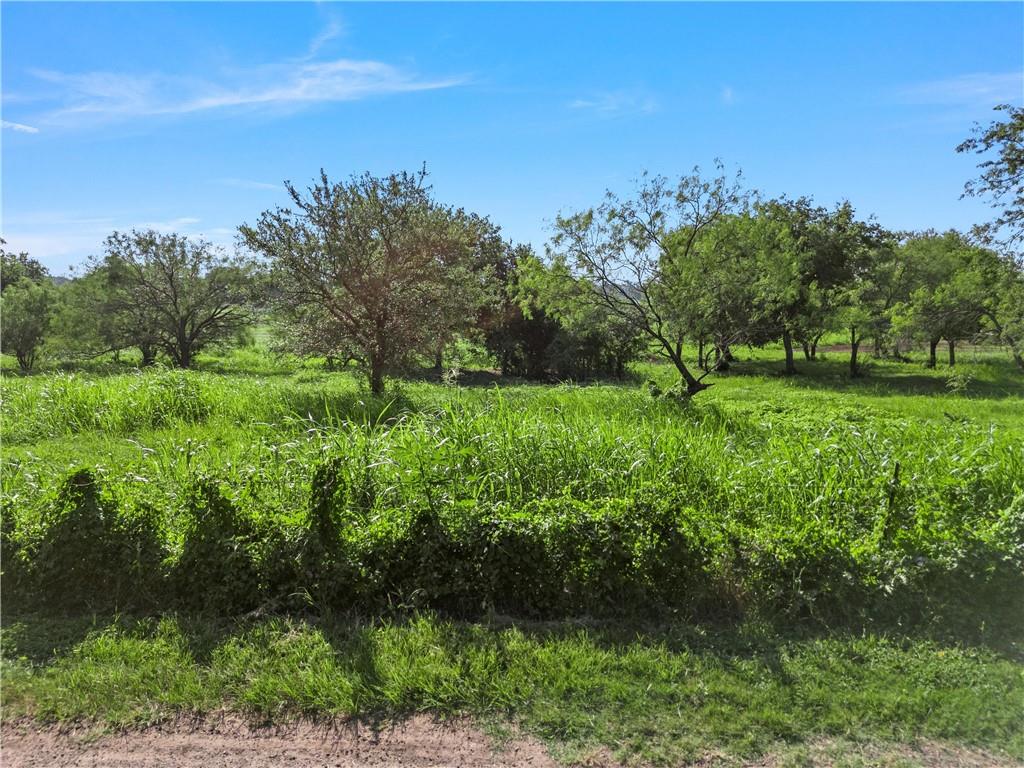 494 Quillian Trace Property Photo 14