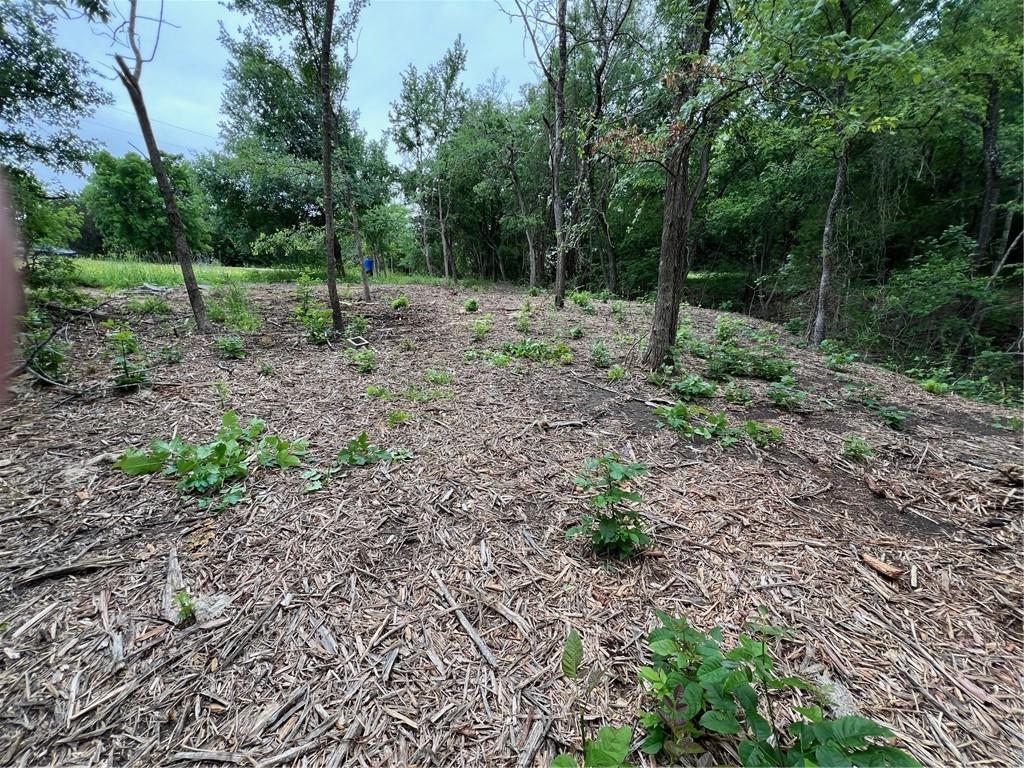 161 Suzanne Drive Property Photo 7