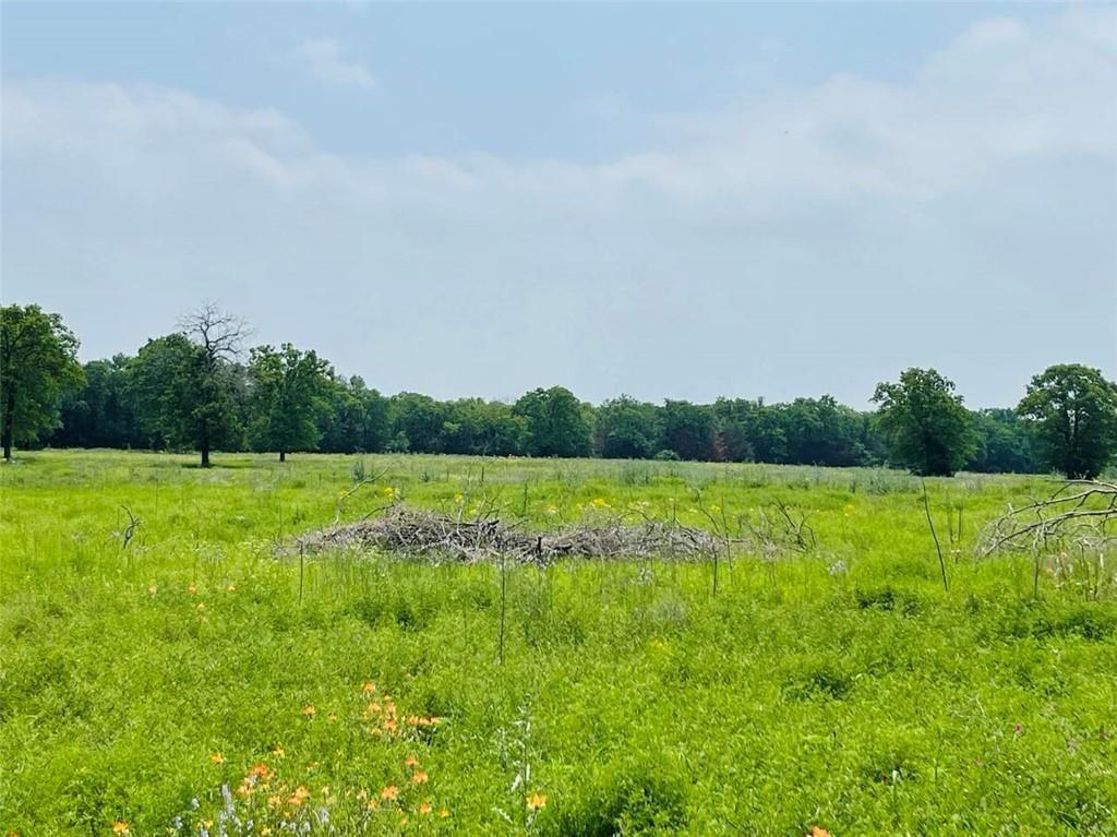 222 Hcr 2205 Property Photo 4