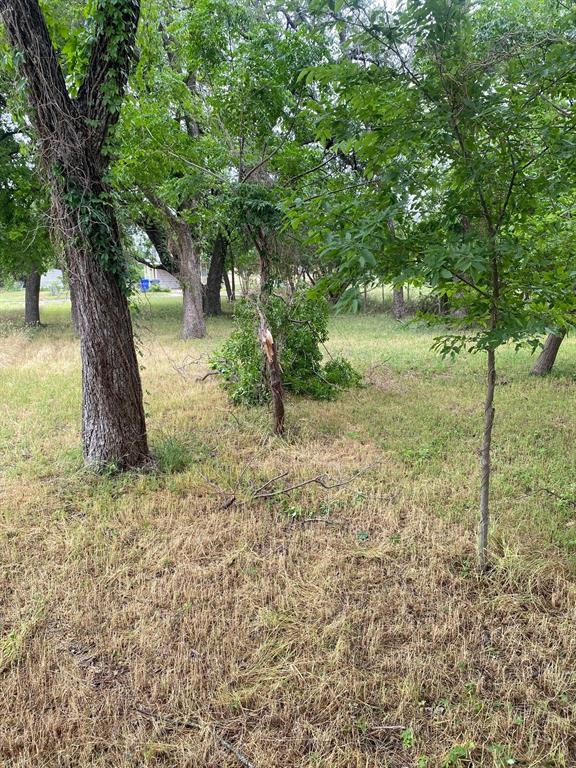 304 Walker Street Property Photo 6