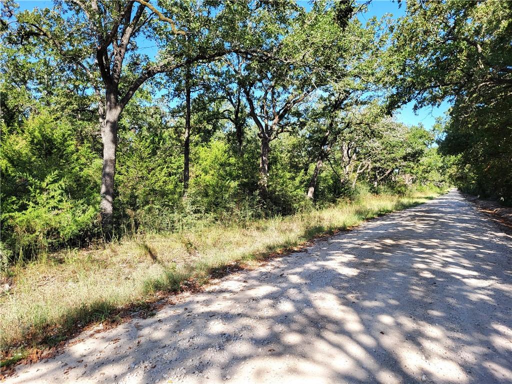 151 Acres Lcr 758 Property Photo 3