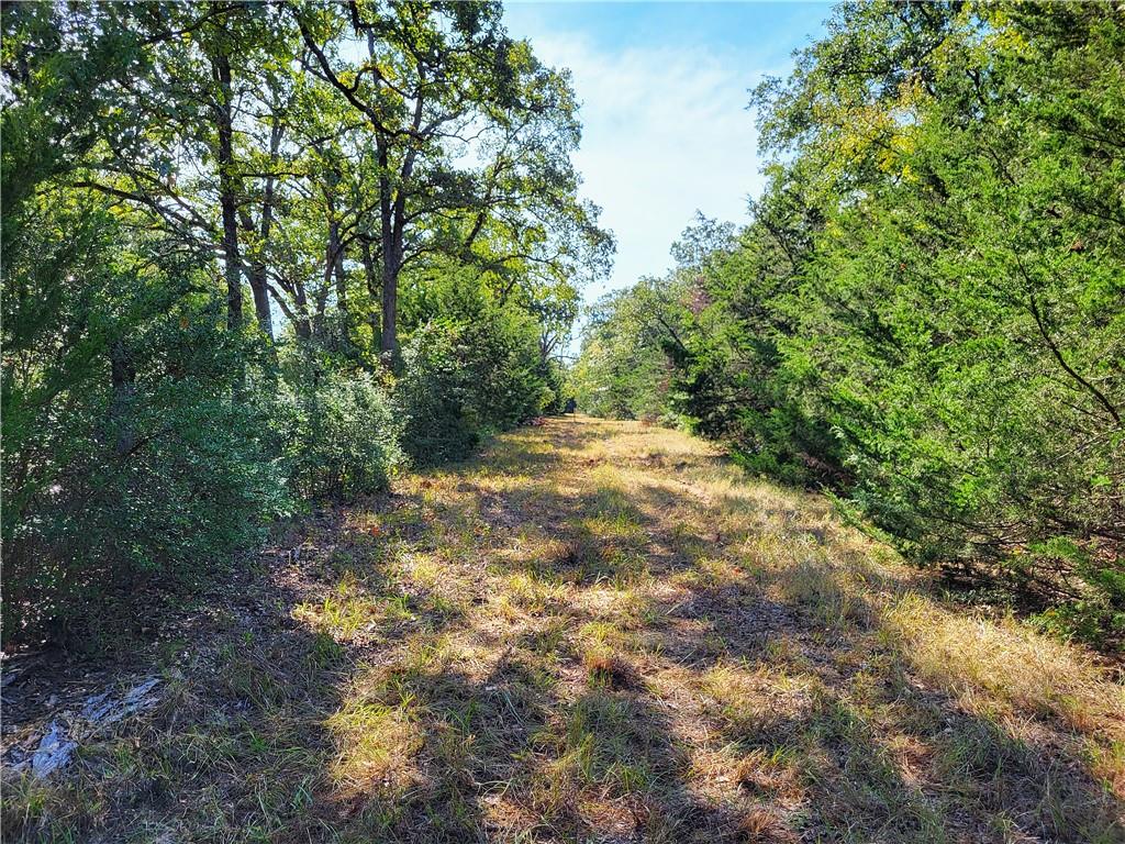 151 Acres Lcr 758 Property Photo 4