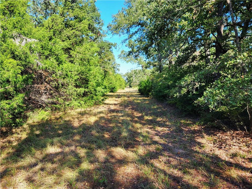 151 Acres Lcr 758 Property Photo 5