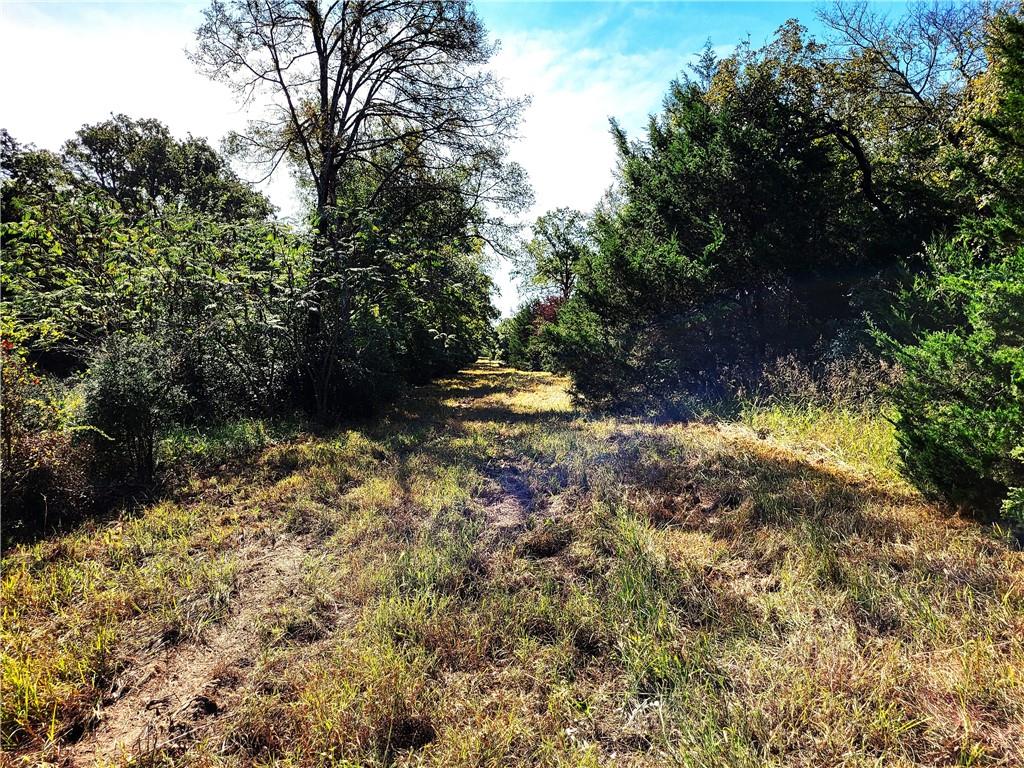 151 Acres Lcr 758 Property Photo 7