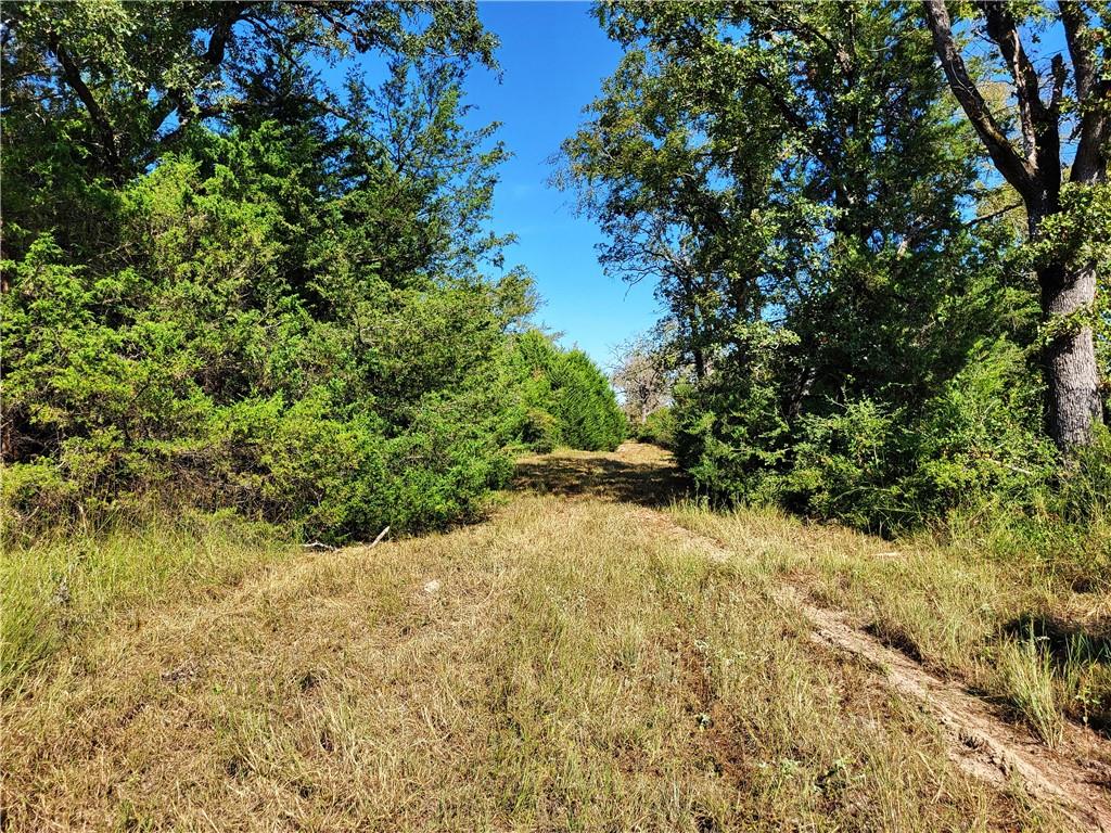 151 Acres Lcr 758 Property Photo 8