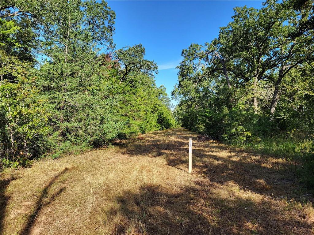 151 Acres Lcr 758 Property Photo 11