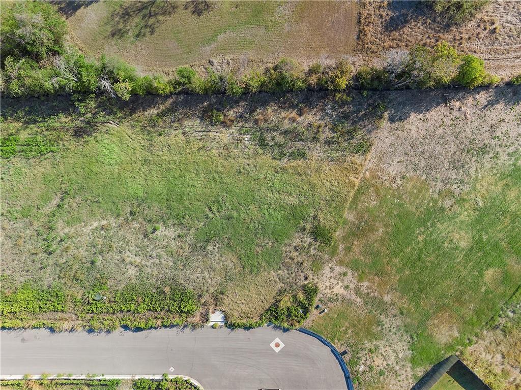 10912 Granada Drive Property Photo 8