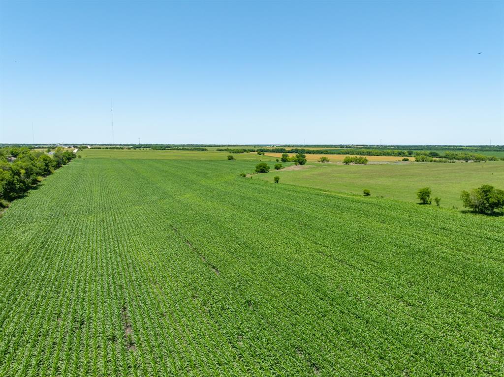 Tbd Cr 451 Property Photo 19