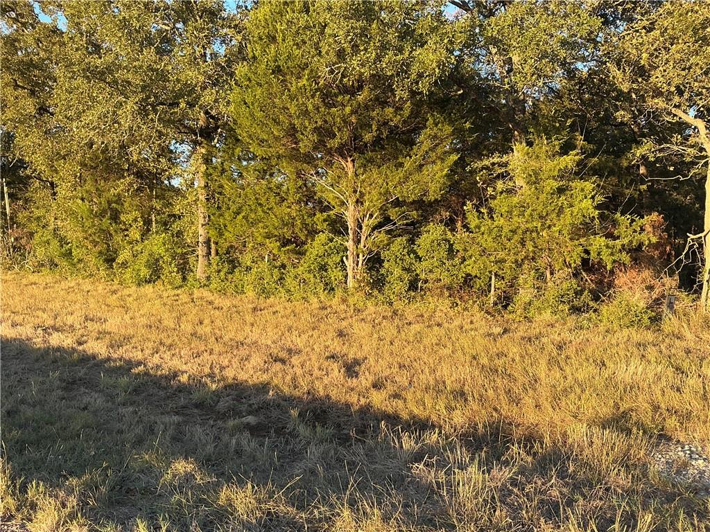 Tbd Fm 2749 Property Photo