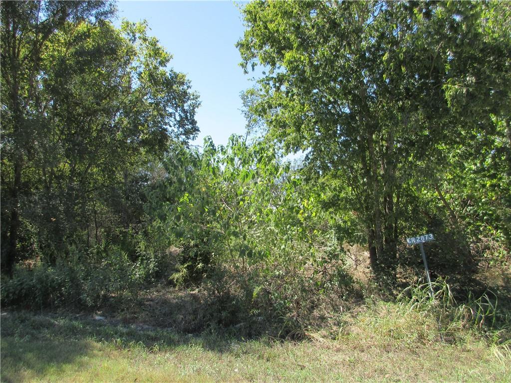 0 CR 2872 Street Property Photo 1