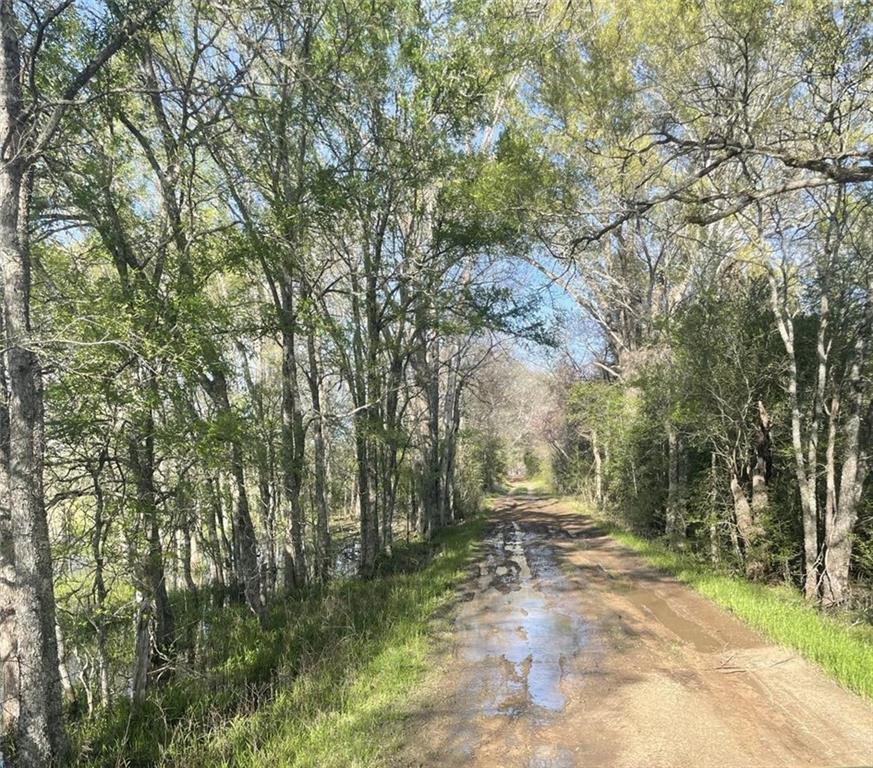 Tbd Fm 542 Road Property Photo