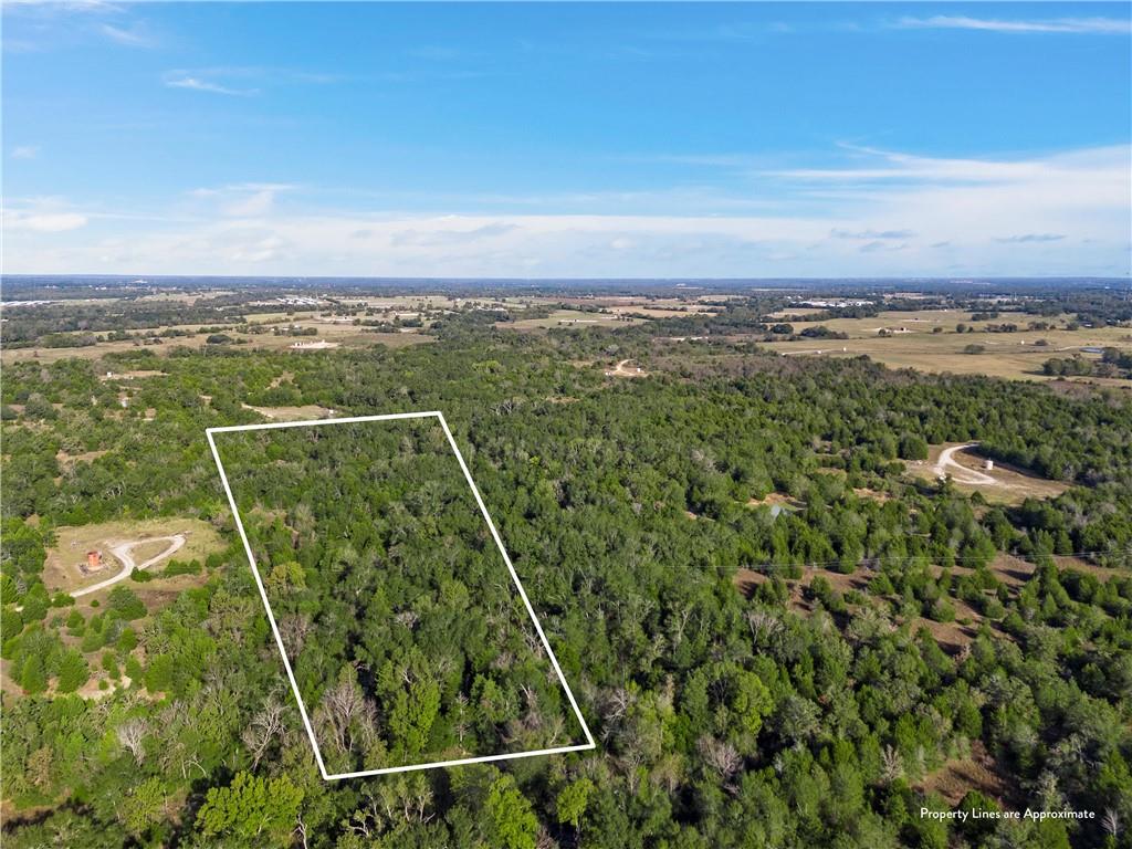 Tbd W Fm 489 Property Photo