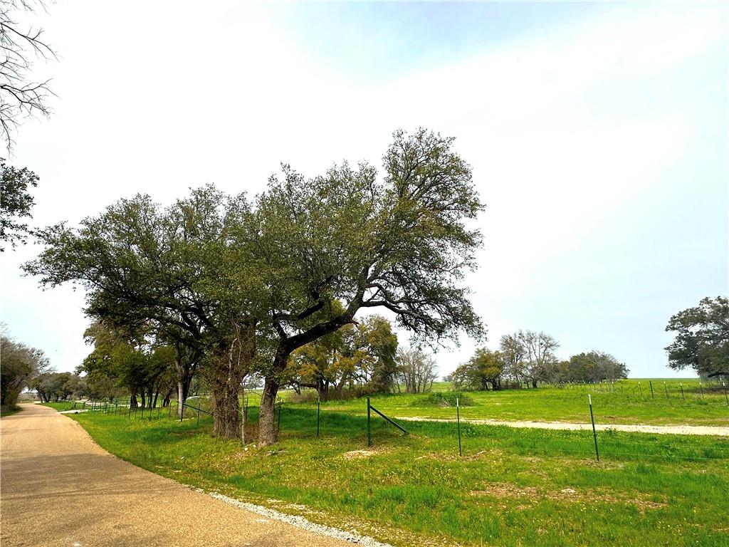 Sunset Ranch Tract 10 Cr 356 Road Property Photo 6