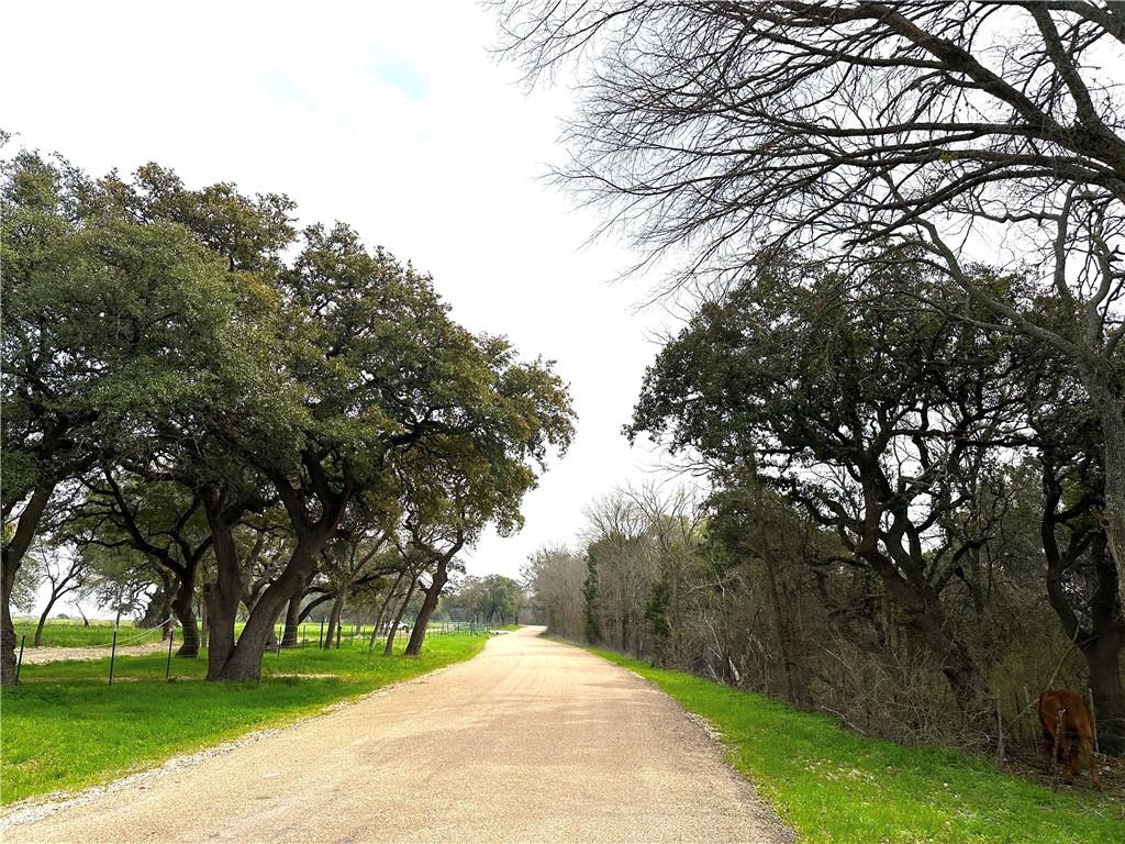 Sunset Ranch Tract 11 Cr 356 Road Property Photo 8