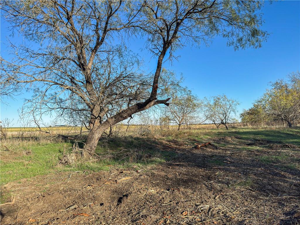 Tbd Tract 6 Talbert Ranch Road Property Photo 15