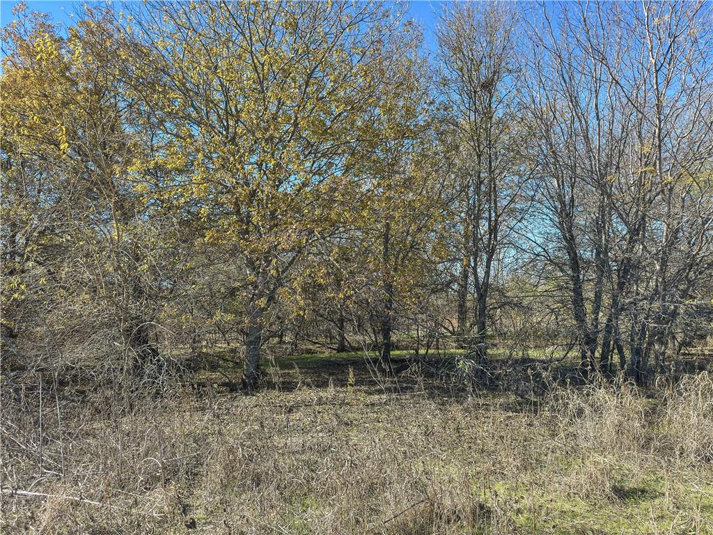 Tbd Tract 6 Talbert Ranch Road Property Photo 17