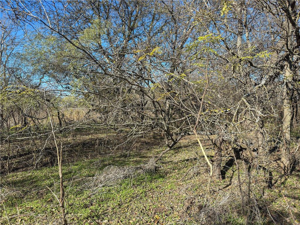 Tbd Tract 6 Talbert Ranch Road Property Photo 19