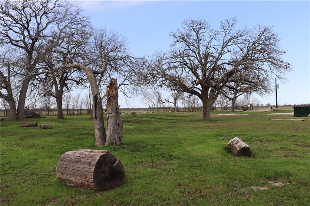 4202 S Fm 339 Property Photo 6