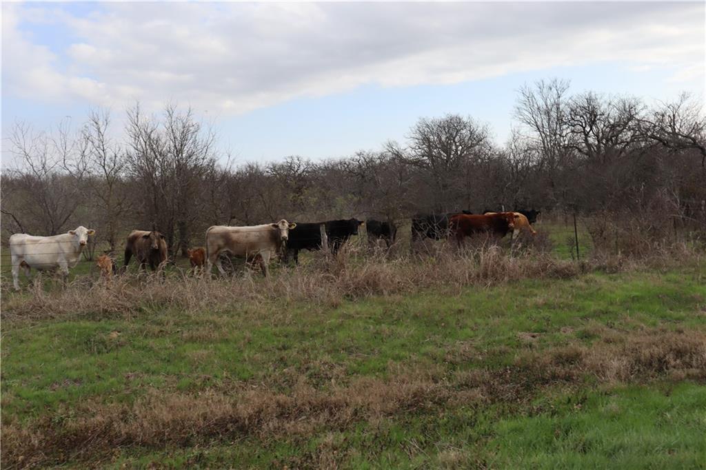 4202 S Fm 339 Property Photo 25