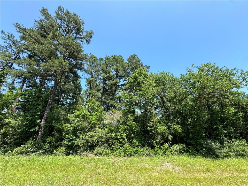 Leon County Real Estate Listings Main Image